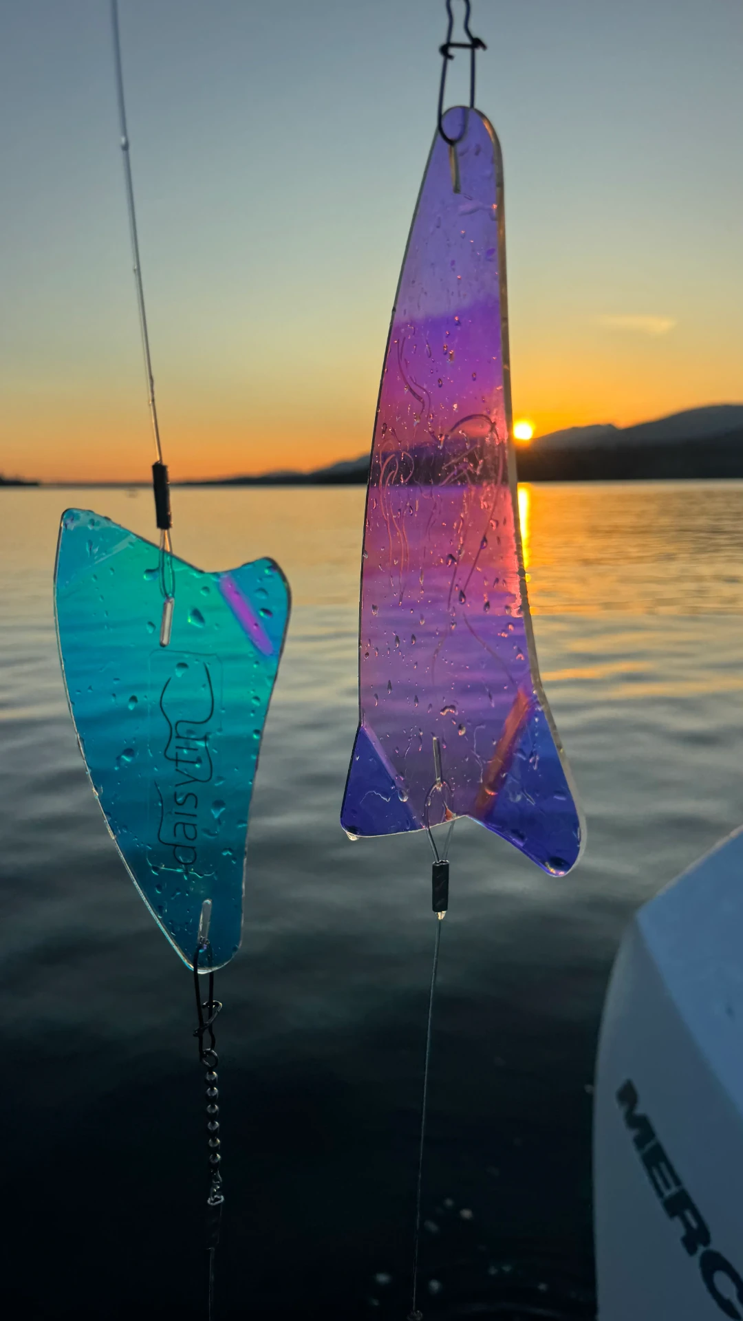 daisyfin flashers trolling at sunset on the water