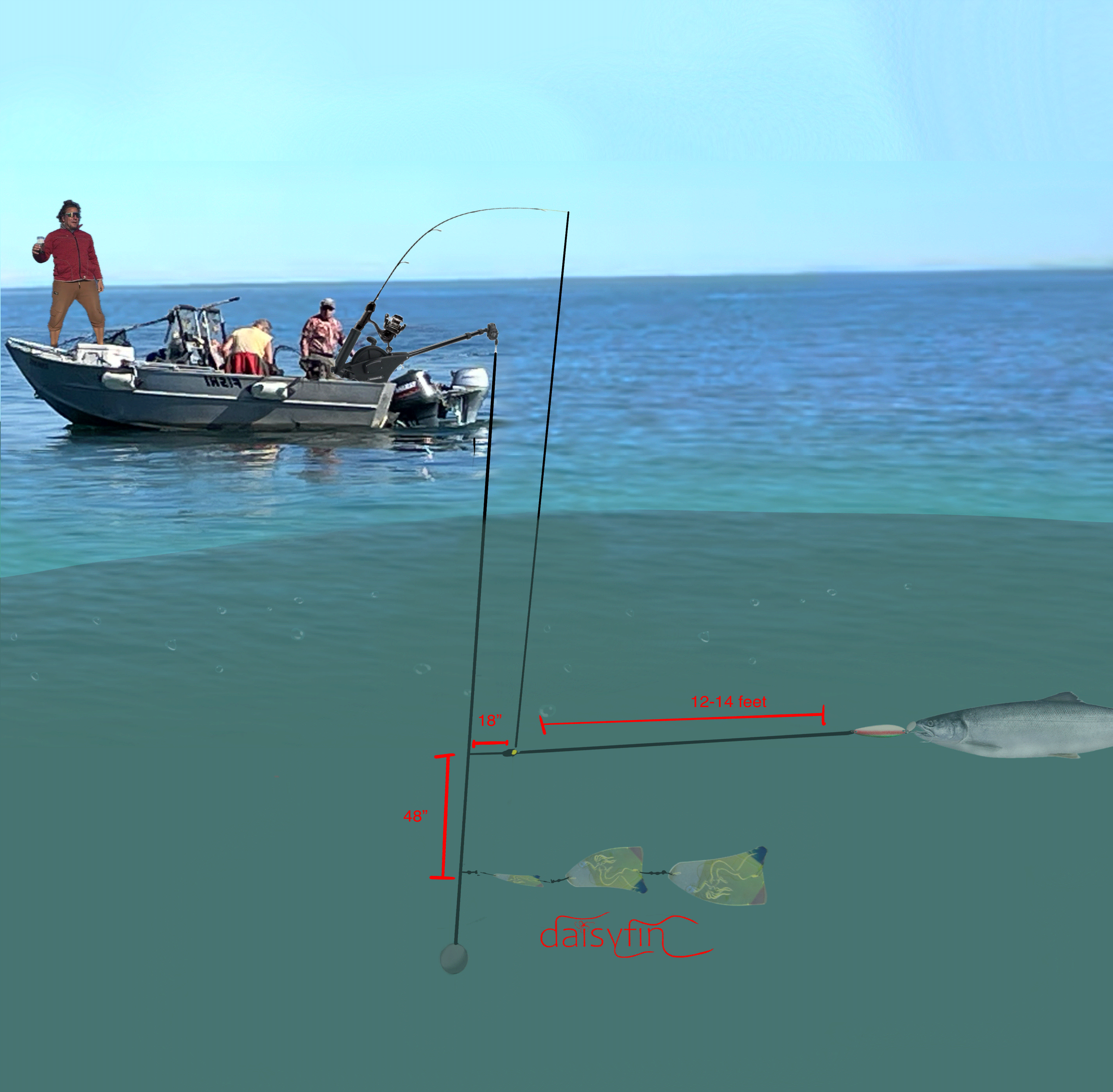 daisyfin flasher downrigger rigging diagram